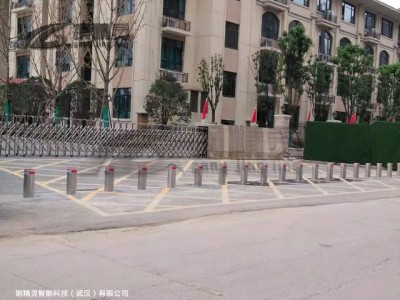 湖北电动升降路桩安装 遥控升降路桩图2