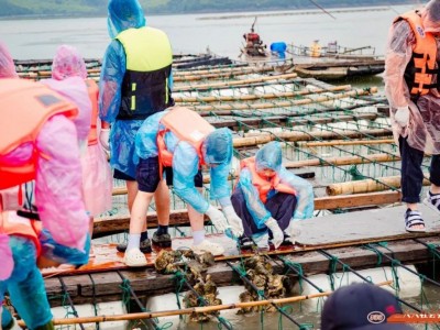 苏州中小学研学旅行体验渔村生活海边户外拓展社会实践活动报名中图2