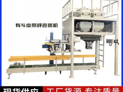 炭黑吨袋定量包装秤图2